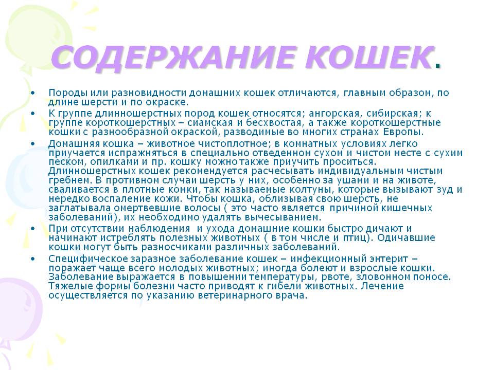 Содержание кошек