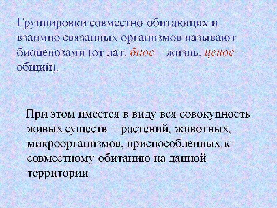 Группировки совместно обитающих и взаимно связанных организмов