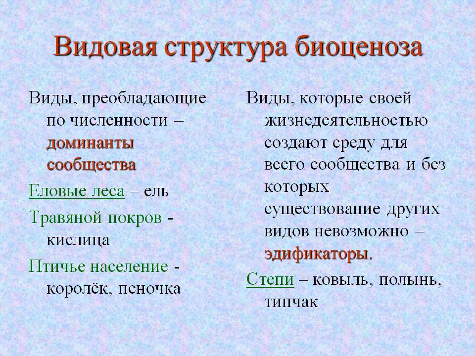 Видовая структура биоценоза