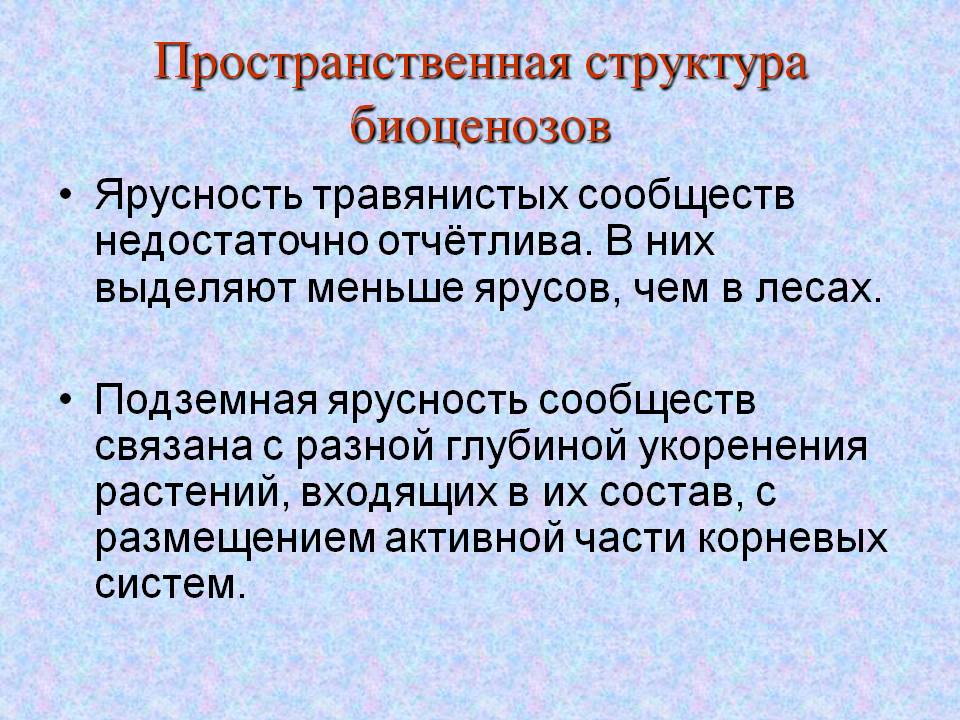 Пространственная структура биоценозов