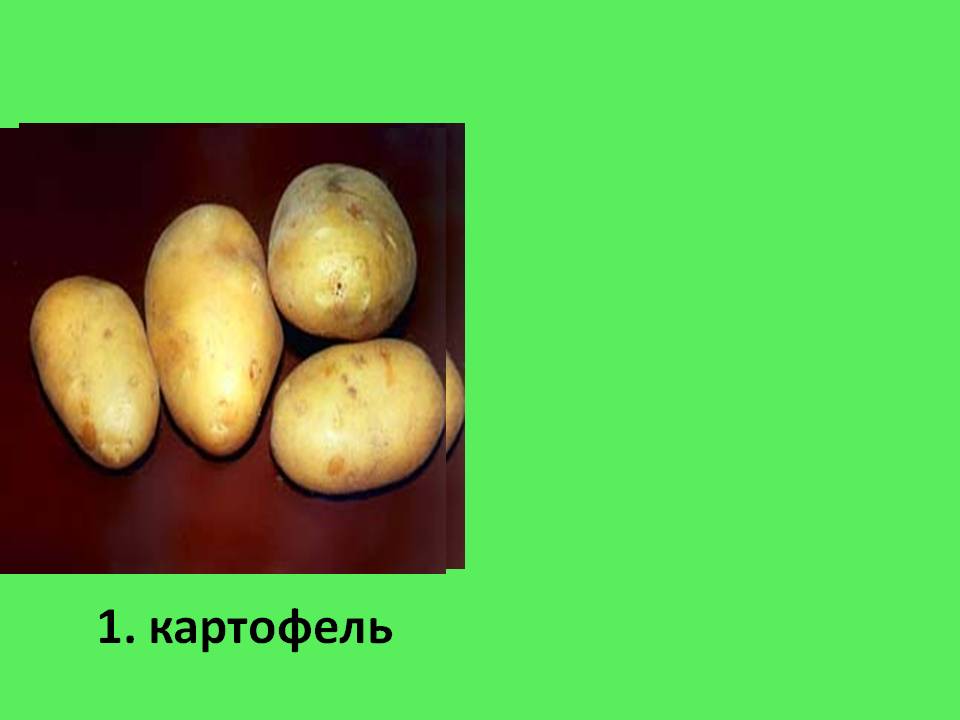 Картофель