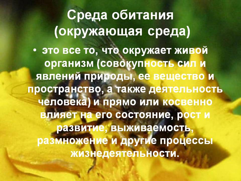 Среда обитания (окружающая среда)