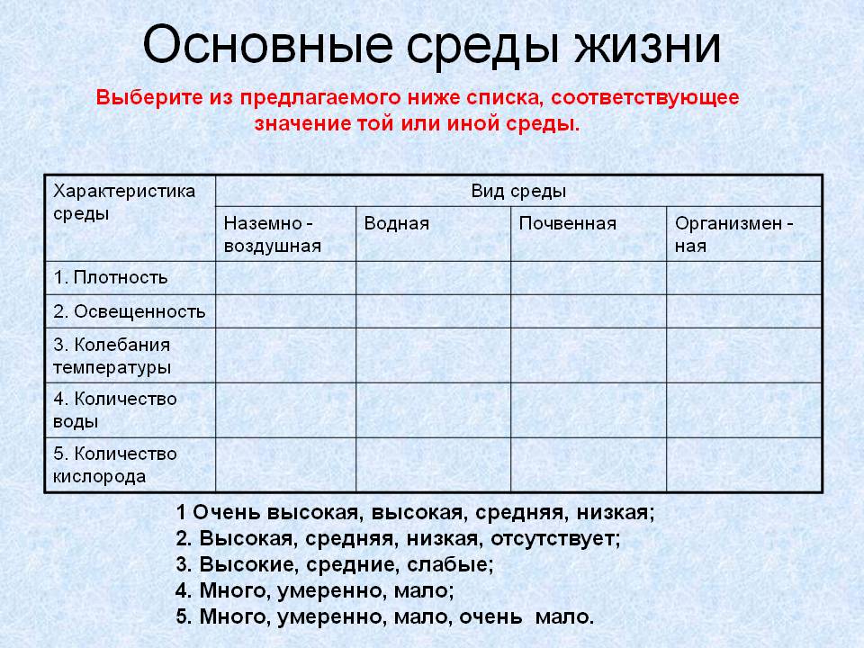 Основные среды жизни