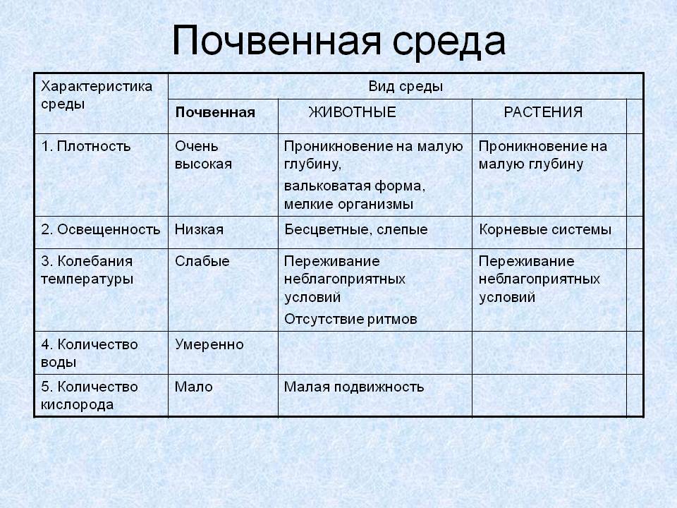 Почвенная среда