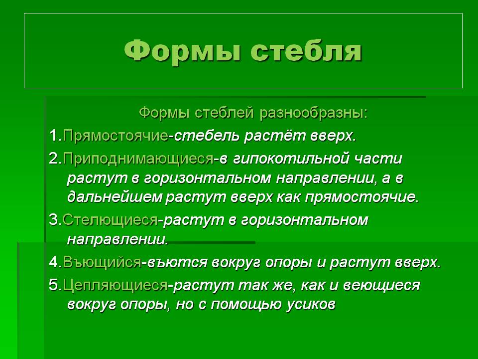 Формы стебля