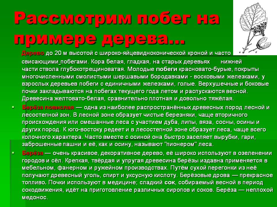 Рассмотрим побег на примере дерева