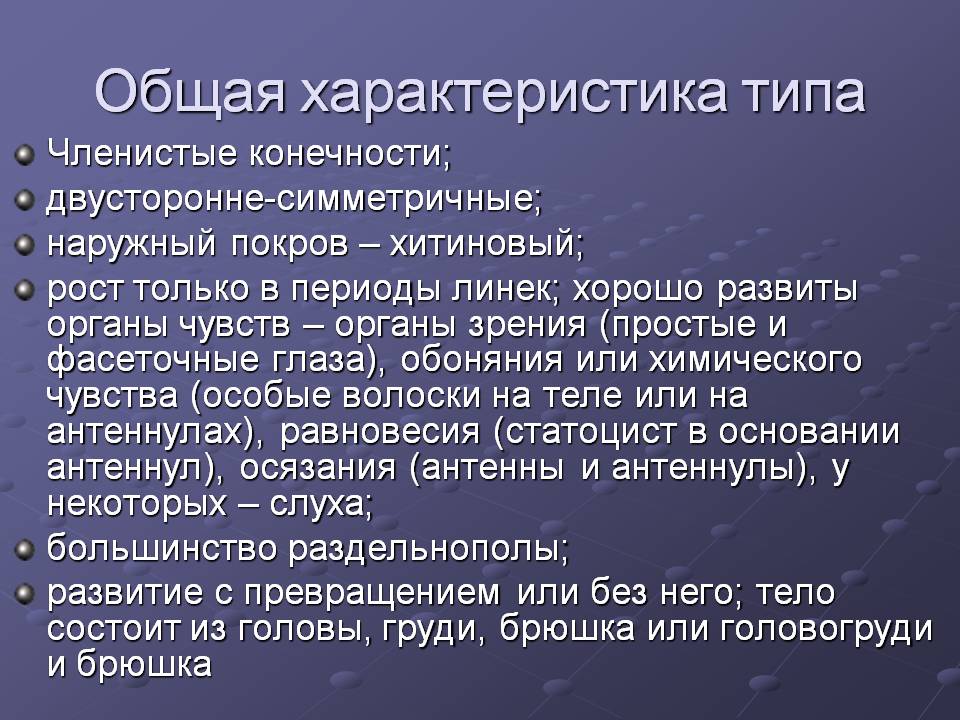 Общая характеристика типа
