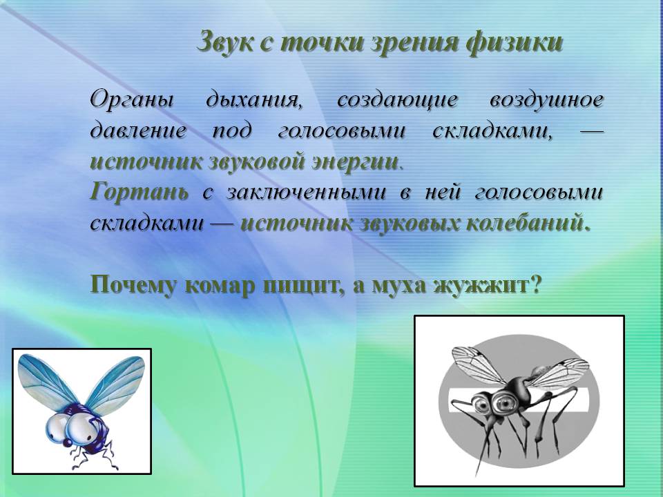 Звук