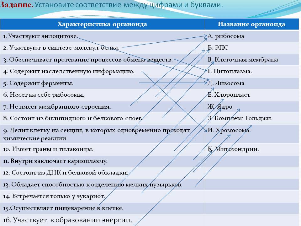 Задание
