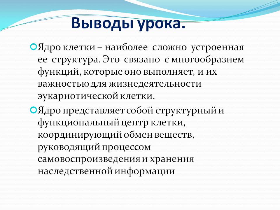 Ядро клетки