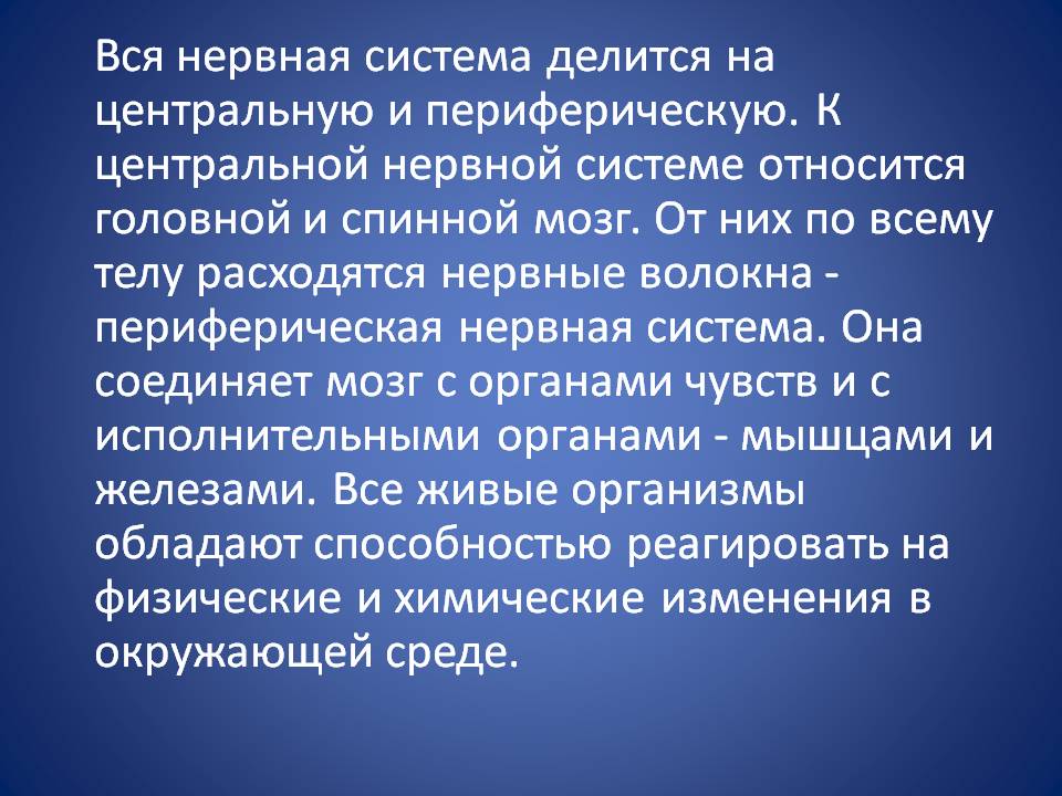 Головной и спинной мозг