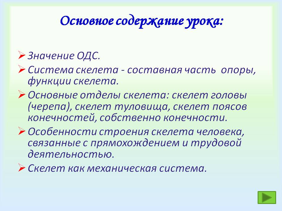 Основное содержание урока