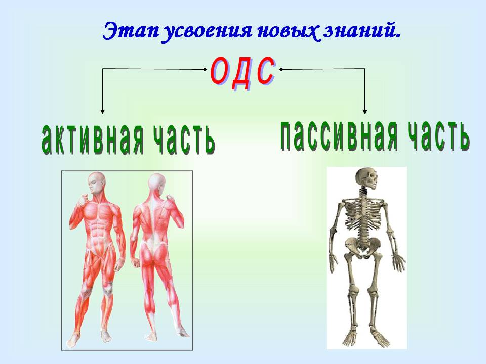 Этап усвоения новых знаний