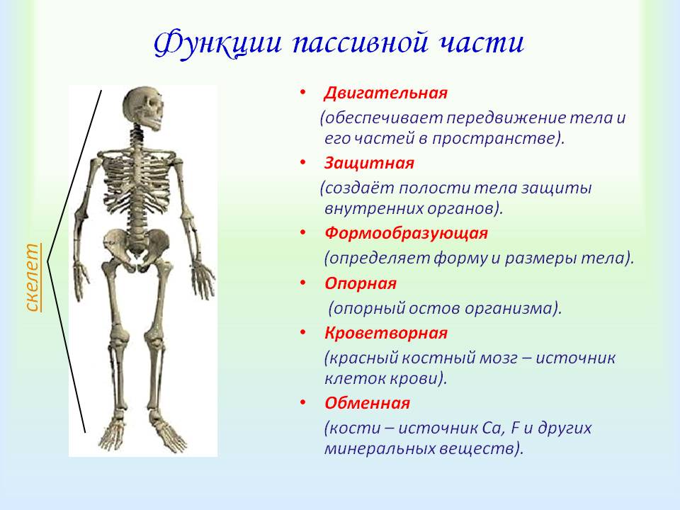 Функции пассивной части