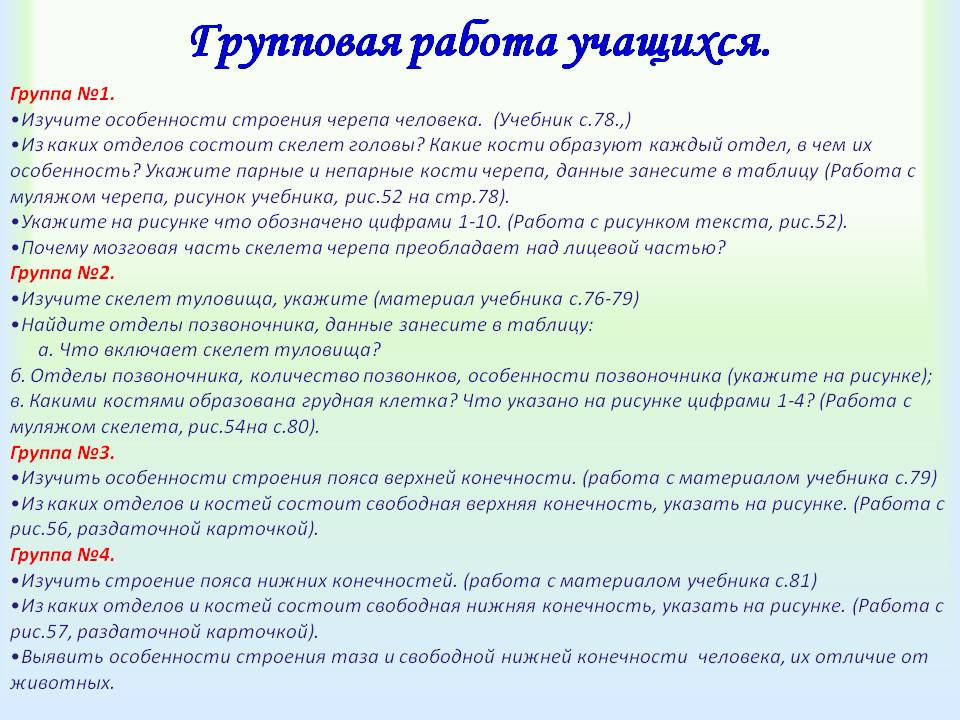 Групповая работа учащихся