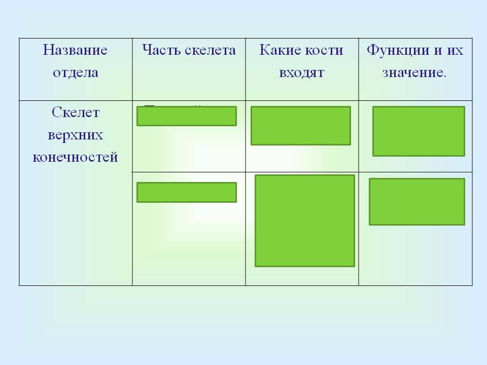 Функции и их значение