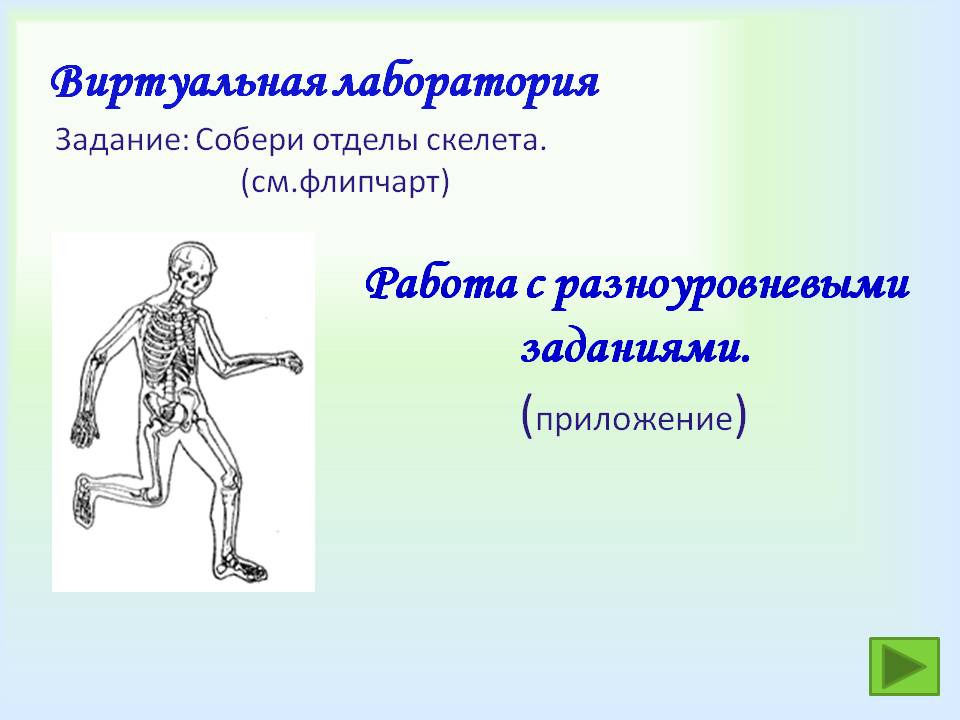 Виртуальная лаборатория