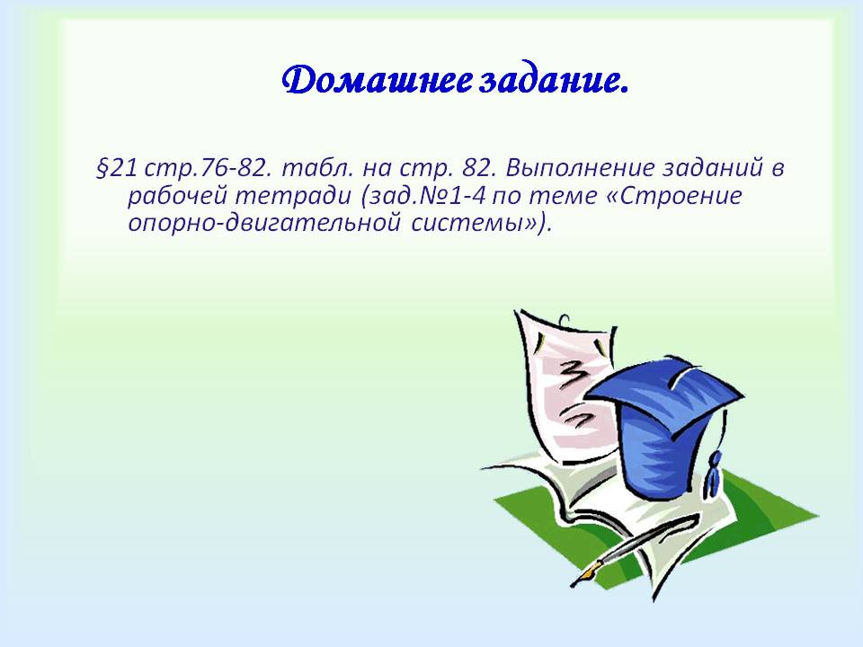 Домашнее задание