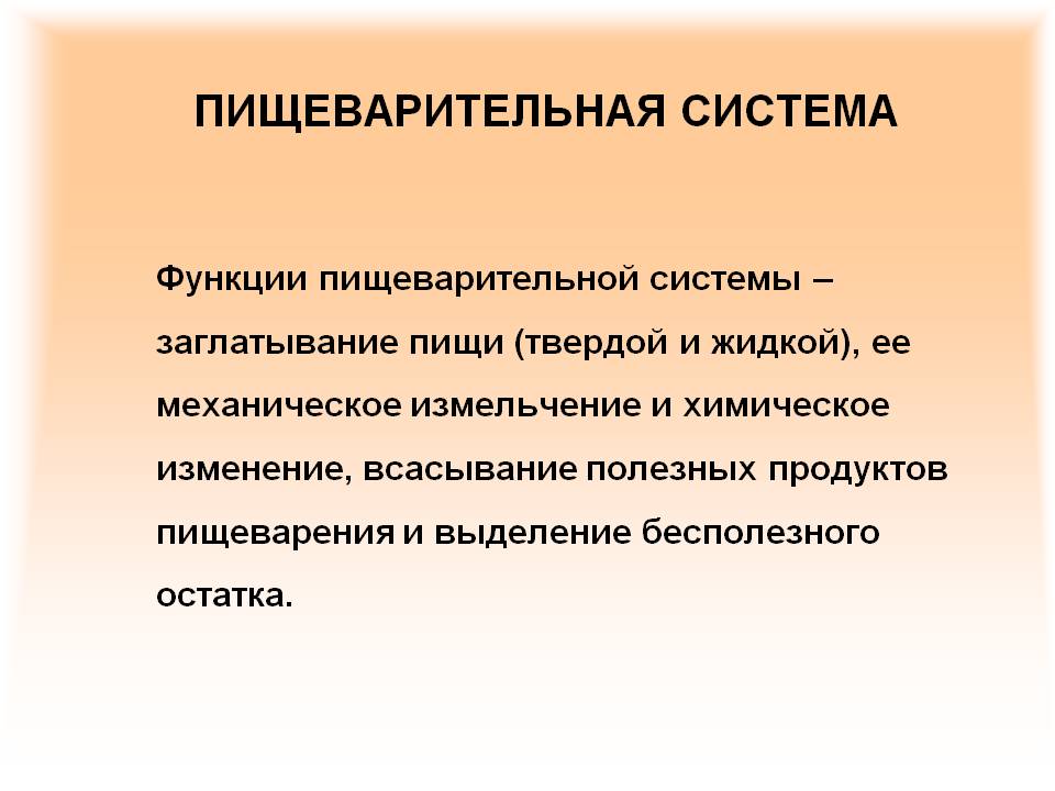 Пищеварительная система