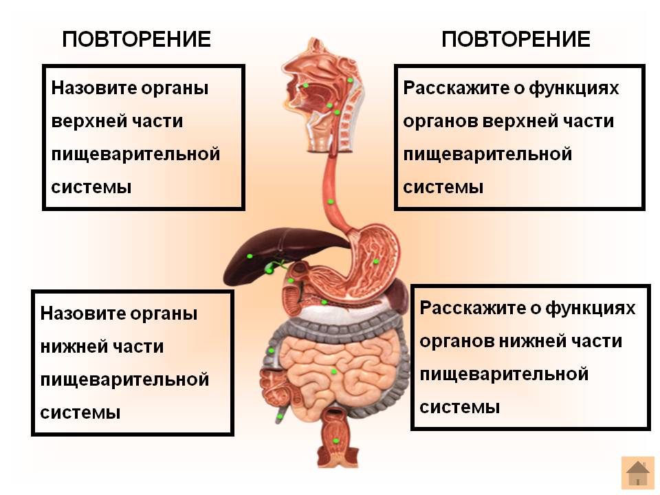 Повторение