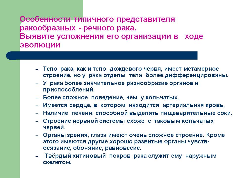Особенности