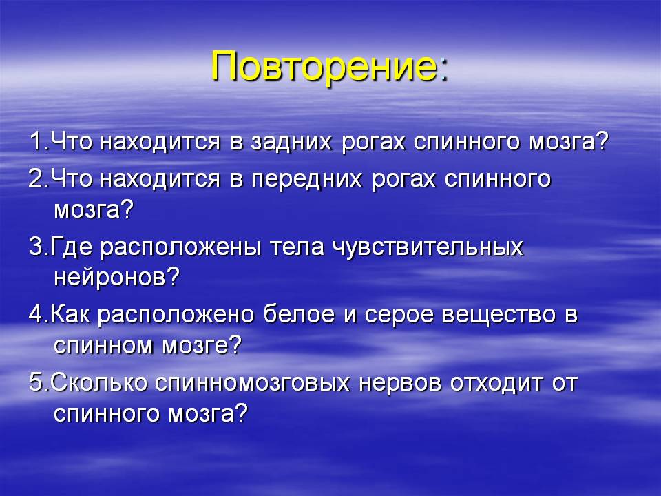 Что находится в задних рогах спинного мозга