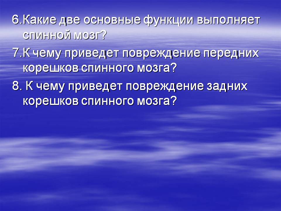 Какие две основные функции выполняет спинной мозг