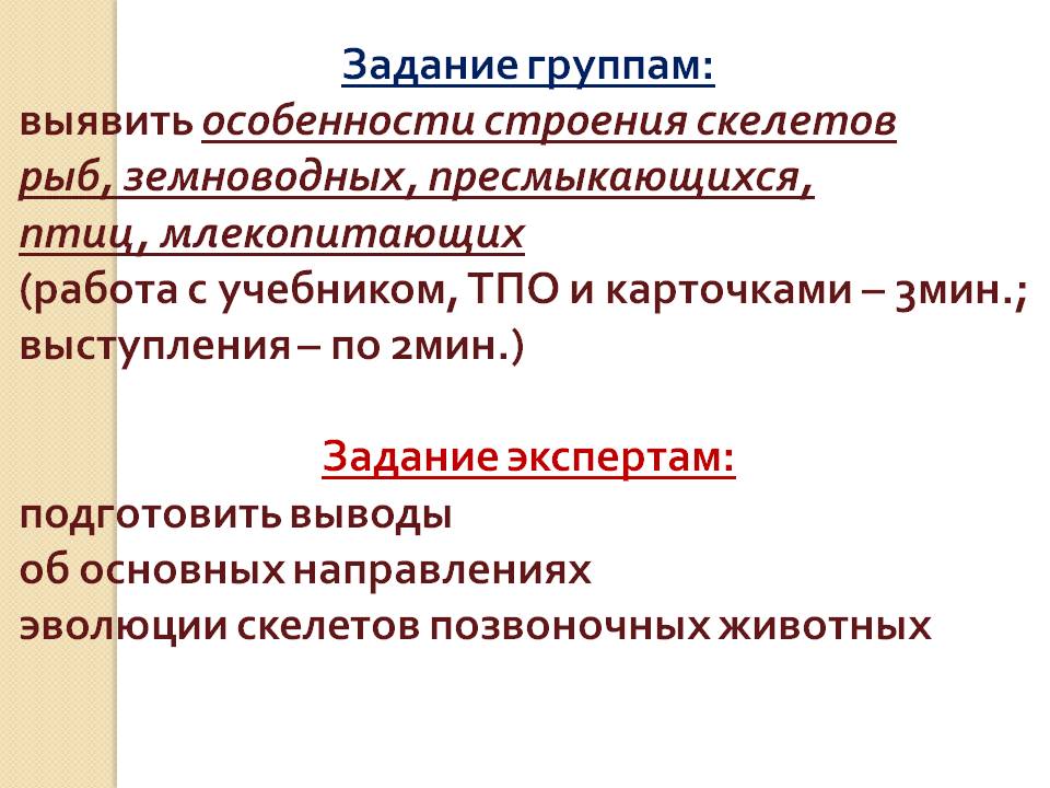 Особенности строения скелетов рыб