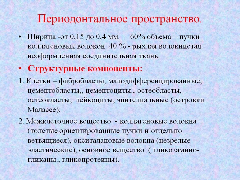 Периодонтальное пространство