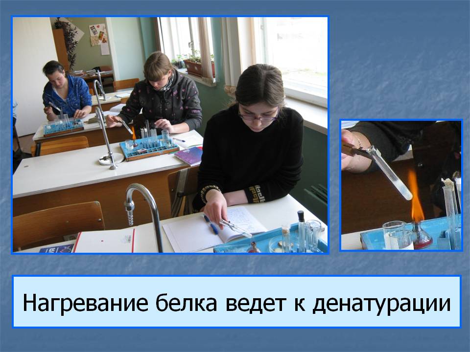 Нагревание белка ведет к денатурации