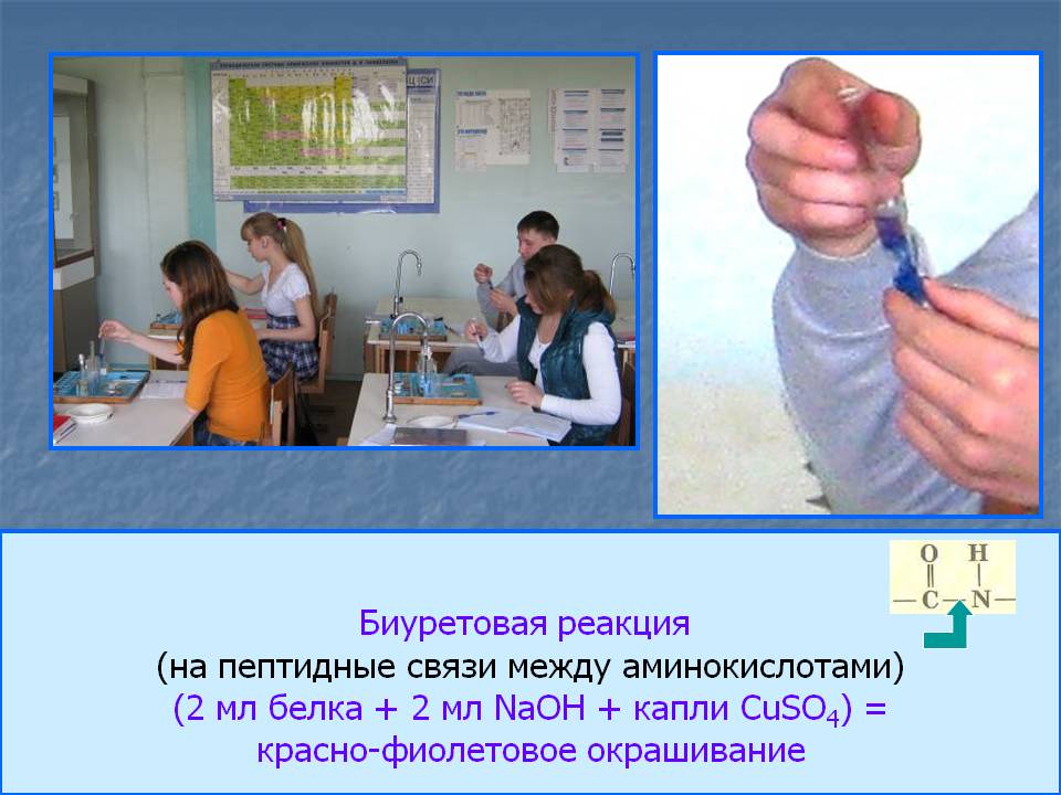 Биуретовая реакция (на пептидные связи между аминокислотами) (2 мл