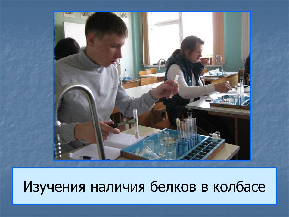 Изучения наличия белков в колбасе