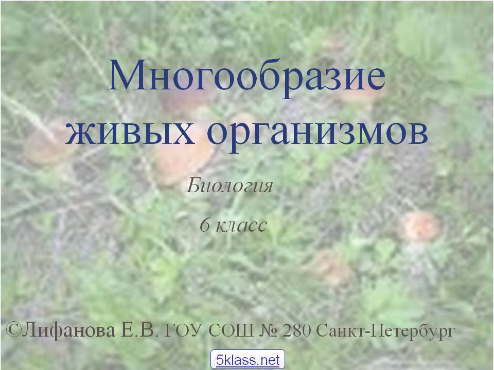 Многообразие живых организмов