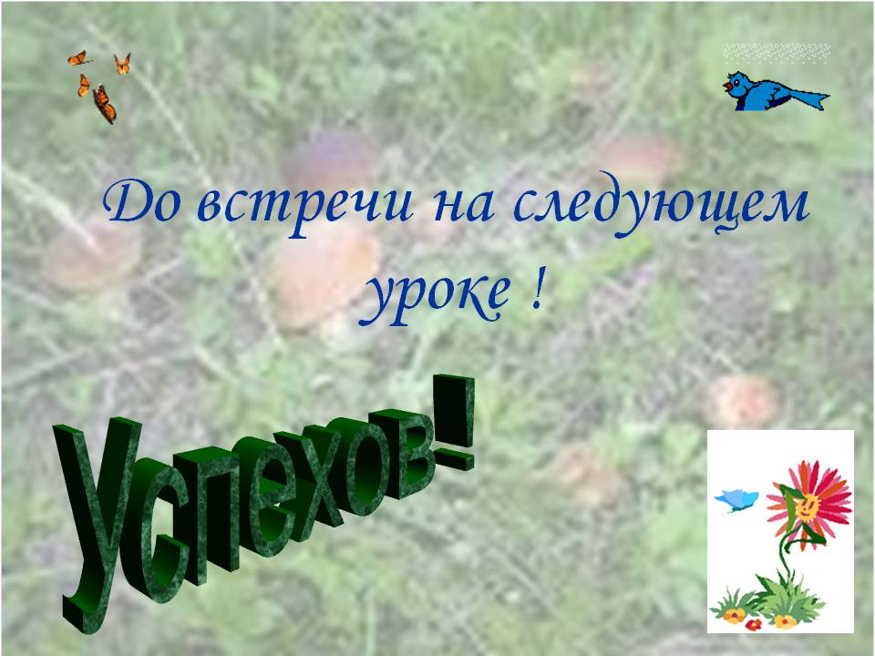 До встречи на следующем уроке 