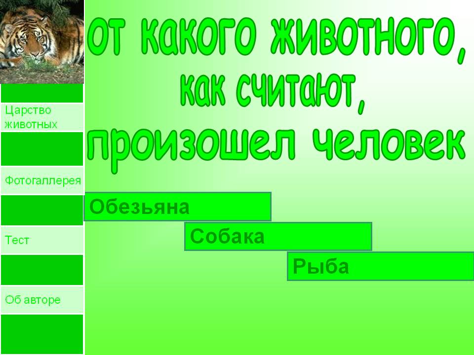 От какого животного,