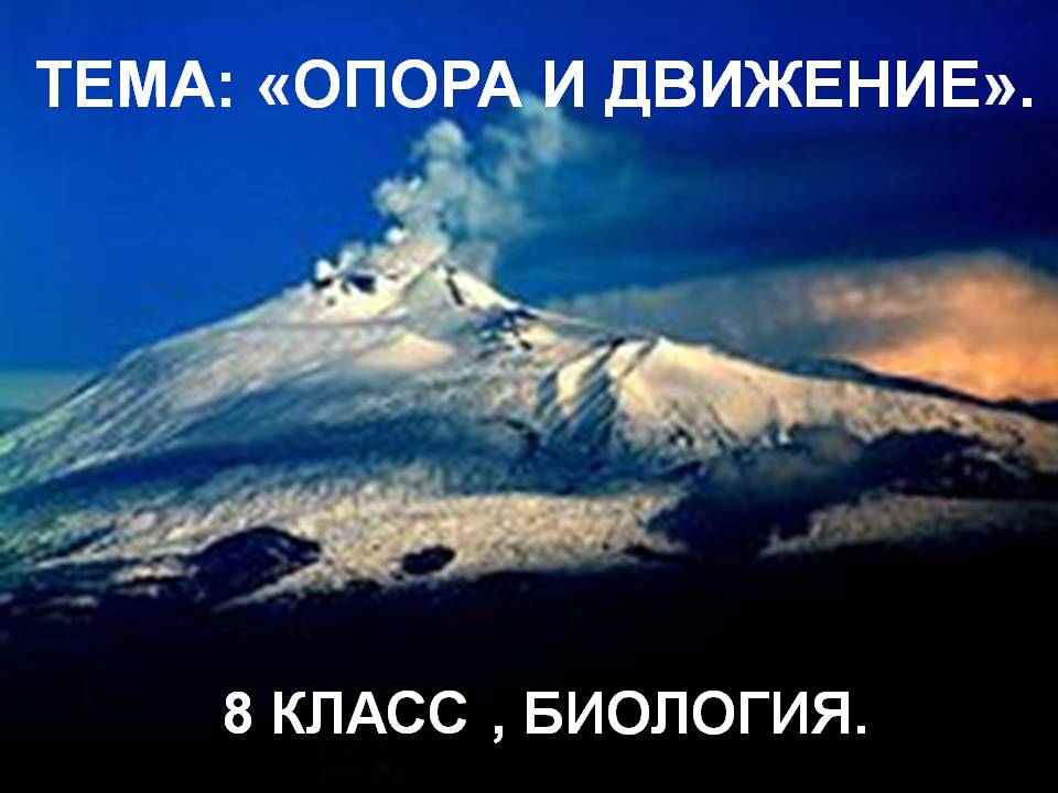 Опора и движение