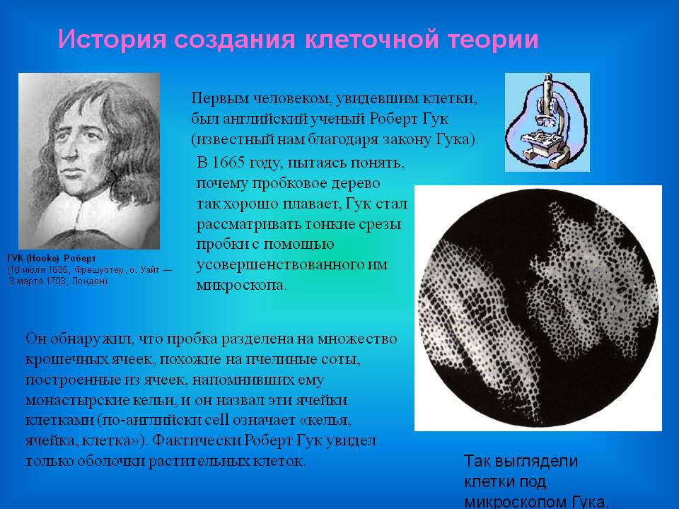 История создания клеточной теории