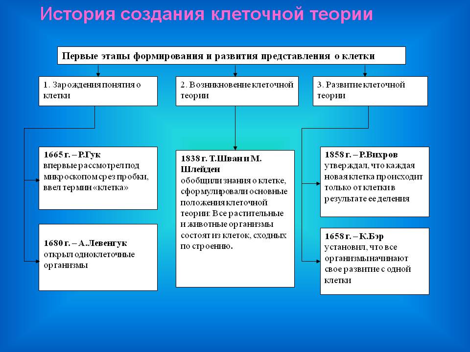 История создания клеточной теории