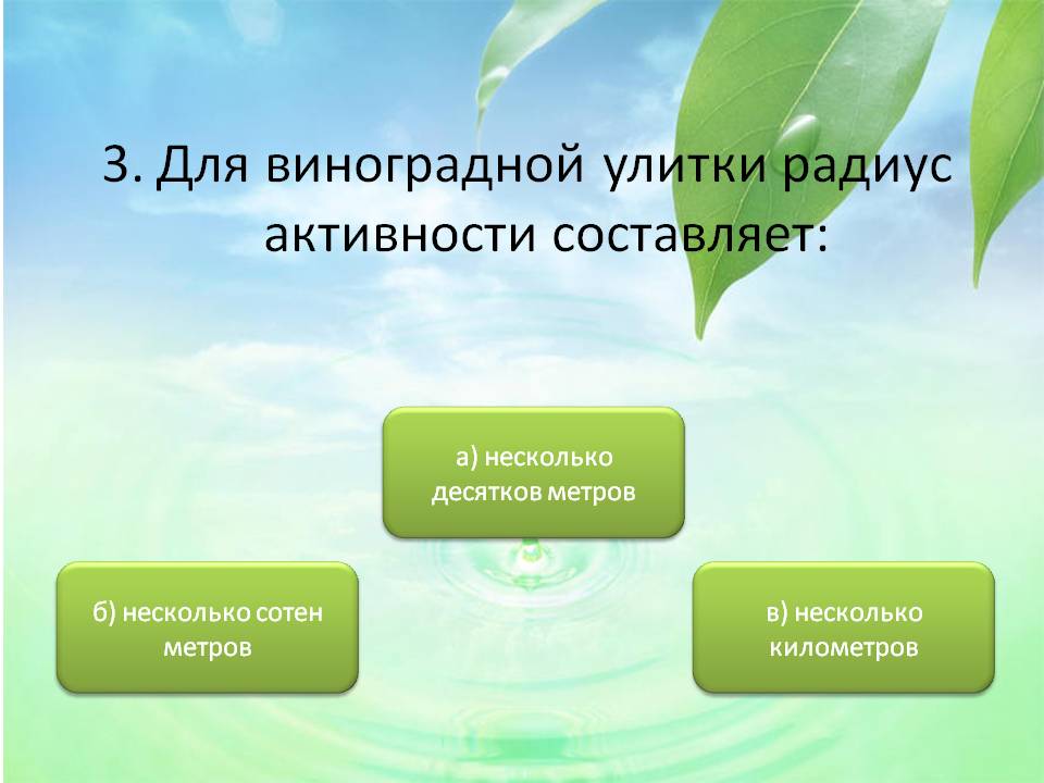 Радиус активности