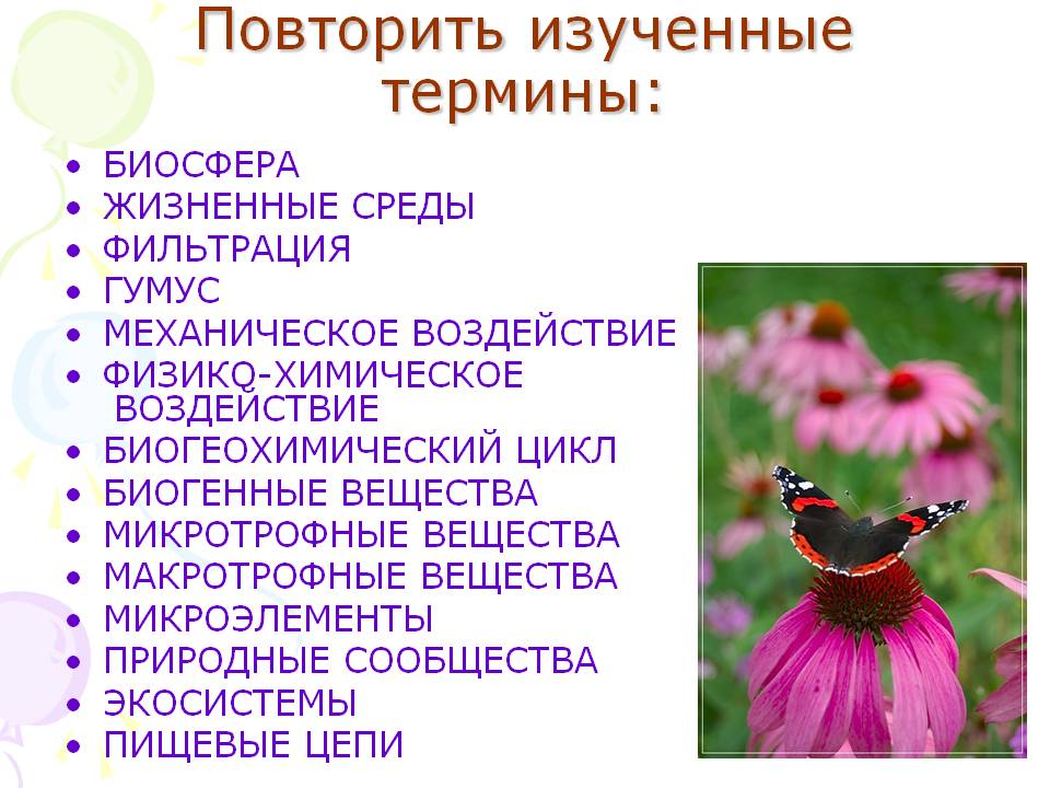 Повторить изученные термины: