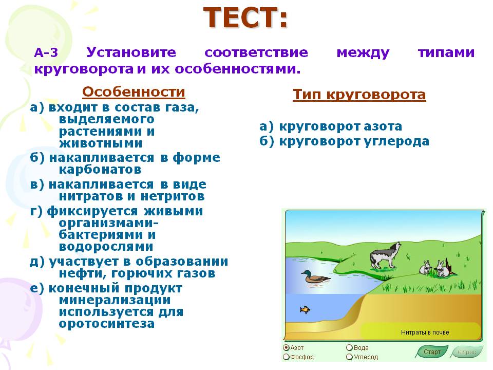 Тест: