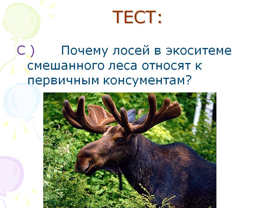 Тест: