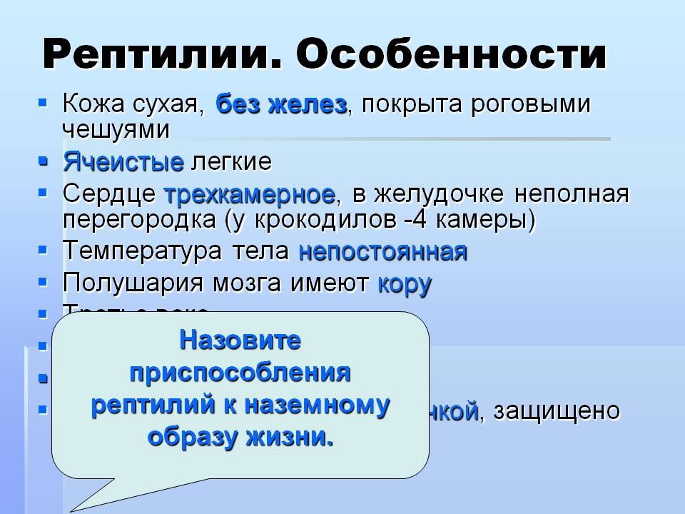 Рептилии
