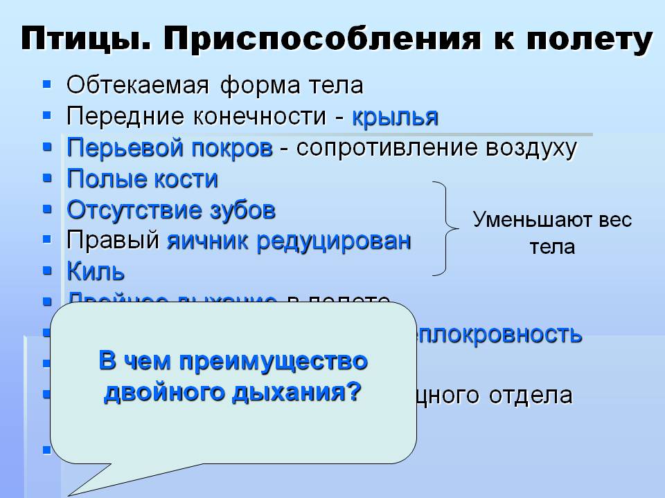 Птицы