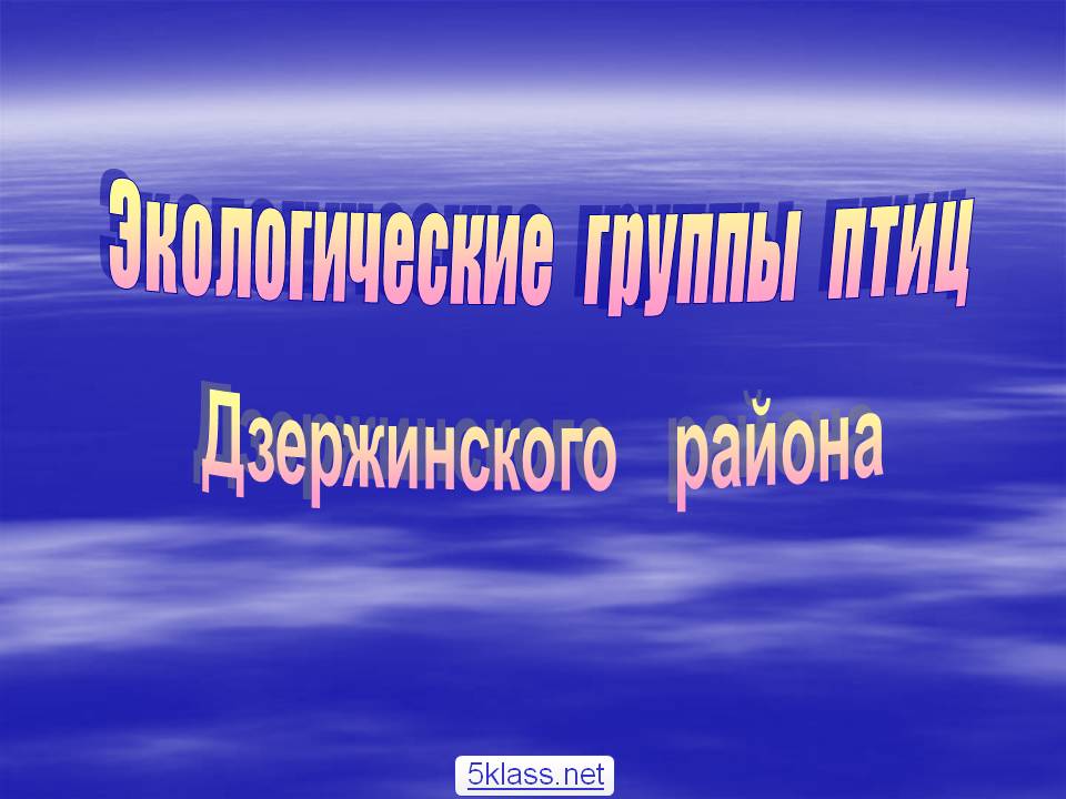 Экологические группы птиц