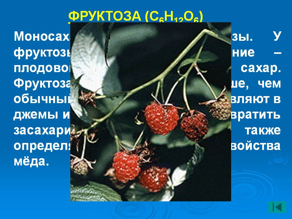 Фруктоза (с6н12о6)
