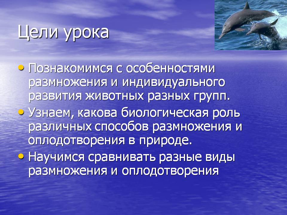 Цели урока