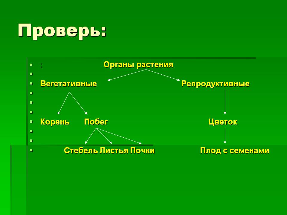Проверь: