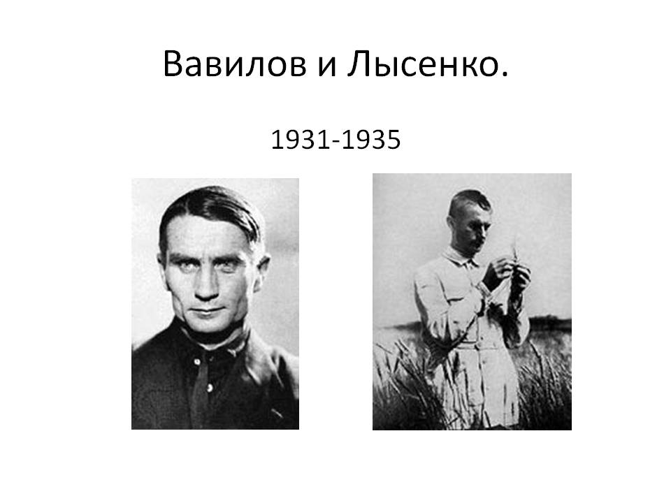Вавилов и Лысенко