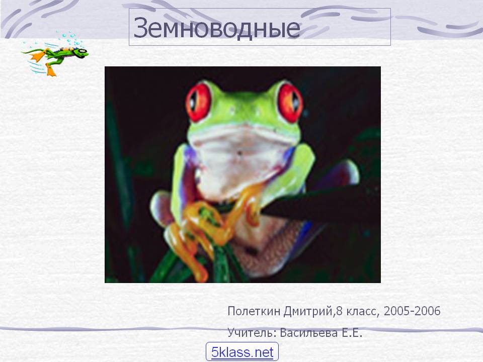 Земноводные